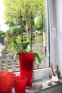 Bed & Breakfast Bodensee mit Herz - Stockach - 9