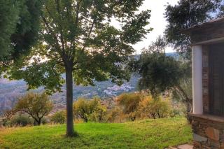 Casa El Higueral - 7