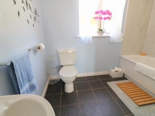 Slieve Gallion Cottage - 1