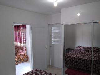 Mitch Apt - Jobos - 1