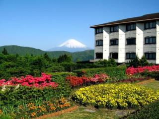 Hotel Green Plaza Hakone - Hakone - 1