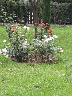 Hostellerie de La Roseraie - Barbotan-les-Thermes - 9