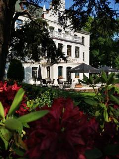 Hotel Fryderyk - Duszniki-Zdrój - 3