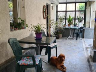 Guest House Panda - Kutaisi - 4