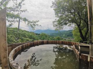 Cabana HATERE - Moisei - 5