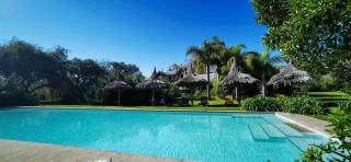 La Casa de los Limoneros - 8