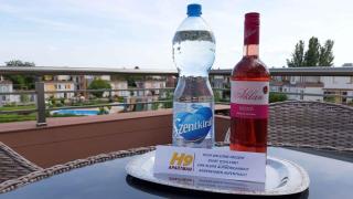 Apartment in Balatonalmadi 36663 - Balatonalmádi - 2