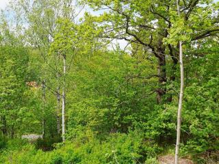 2 person holiday home in HANINGE-By Traum - Haninge - 5