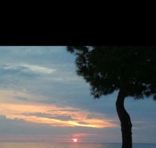 La casa al mare Corallo Verde - 6