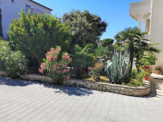 Lenka Apartments II - Novalja - 7