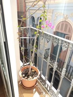 Málaga Centro - Málaga - 2