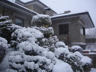 B&B Le Palme - Bassano Romano - 4