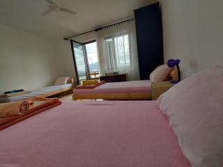 Apartman Velojić - Donji Milanovac - 8
