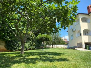 Apartman Luna - Sveti Lovreč Pazenatički - 5