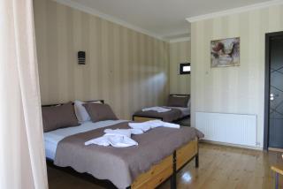 Bibo's Kokhi Guesthouse - Kazbegi - 1