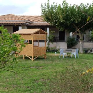 Olive Grove Zakynthos - 3