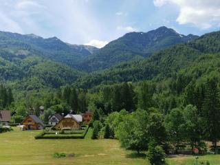Accommodation Destina, LAKE BOHINJ - Bohinj - 3