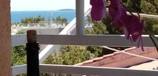 Apartments near the sea Bilo Primošten - Primošten - 6