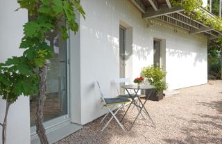 456 Chemin de la Pinède - Menton - 2