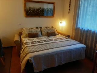 MdC Apartment - Madonna di Campiglio - 2