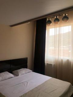 Dona Palace Apartments - Tbilisi - 4