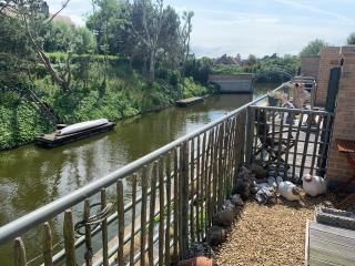 Boothuis Ter Vaart - Blankenberge - 8