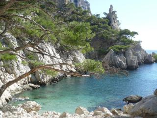 canaille candelle - Cassis - 6
