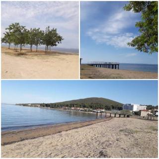 Elia by the sea - Psakoudia - 6