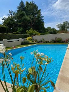 Maison ruisseau l'eau blanche - Léognan - 8