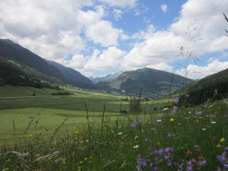 Sonnenchalet Neusess - 1