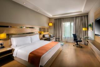 Holiday Inn Agra MG Road an IHG Hotel - Agra - 2