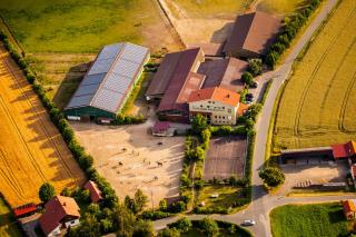 Pension & Reitschule Fuchsenhof - Seebarn - 6