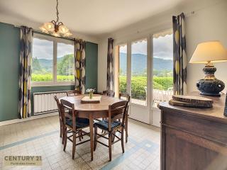 Maison Lac et Montagne - Barbazan - 6