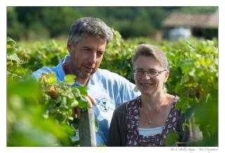 B&B Les Secrets de Tifayne - Puisseguin - 0