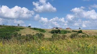 Domaine les Sauges - Dettey - 4