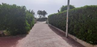 Estudio PREMIUM Vera Playa Naturista - Vera - 4