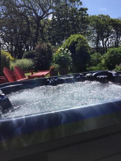 Snowdrop cottage @ Ty-llwyd - Treffynnon - 7