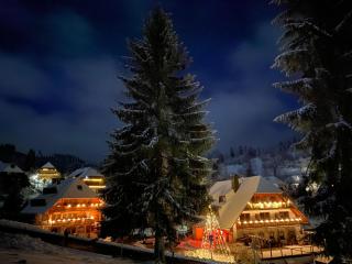 Hotel & Restaurant Grüner Baum - Die Grüne Oase Am Feldberg - 8