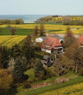 Grüne Wiek Wabenhausherberge Beckerwitz - Gramkow - 9