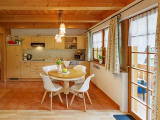 Holiday Apartements by Hotel Grüner Baum Feldberg - 1