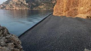 Komi's Pink Paradise 1 - 1