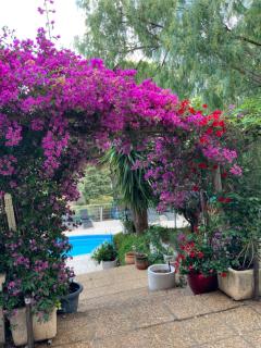 APT 65 M2 DANS VILLA AVEC PISCINE BANYULS SUR MER - 7