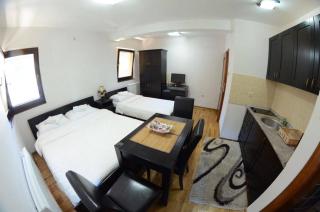 Vila Darija Zlatar - studio apartman br 1 - Nova Varoš - 6