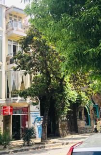 Hotel Dolphin Batumi - 9