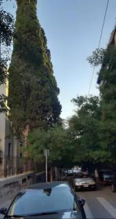 Athens Central Green 7 min from metro and 2 min from trolley - Athènes - 1