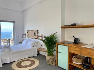 Villa Ioanna oliveproject - Plakias - 4