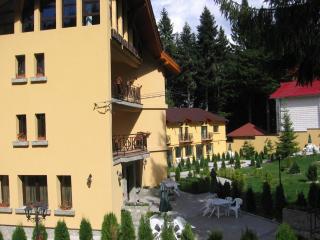 Hotel MEITNER - Predeal - 6