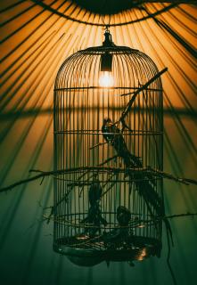 LÖFFELMÜHLE BOUTIQUE BED AND BREAKFAST - 2