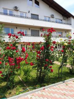Casa Anna & Costantino - Costinesti - 9
