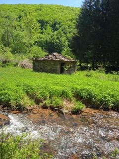 Smestaj Djordjevic - Pirot - 9